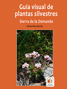 androsace rioxana
